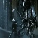 ?PREDATOR VS ALIEN MOV 1 11