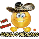 Bola Mexicana  1 16
