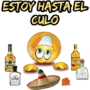 Bola Mexicana  1 4