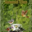 Buenas&Buenos   1 Movi 10