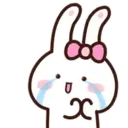 Conejito emocionado MOV 6