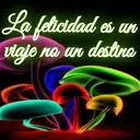 La felicidad es un
viaje no un destino