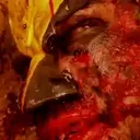WOLVERINE MOV 1 25
