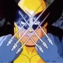 Wolverine 1 28