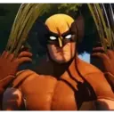 Wolverine 1 2