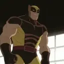 Wolverine 1 17
