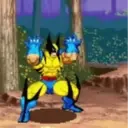 Wolverine 1 4