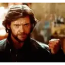 Wolverine 1 14