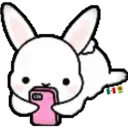 ᰔᩚ   Bunny cute ᰔᩚ   1 6
