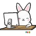 ᰔᩚ   Bunny cute ᰔᩚ   1 25