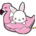 ᰔᩚ   Bunny cute ᰔᩚ   1 1