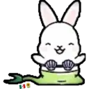 ᰔᩚ   Bunny cute ᰔᩚ   1 2