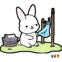 ᰔᩚ   Bunny cute ᰔᩚ   1 20