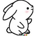 ᰔᩚ   Bunny cute ᰔᩚ   2 22
