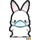 ᰔᩚ   Bunny cute ᰔᩚ   2 9