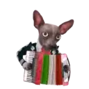 Viva México Vol2 mov 8