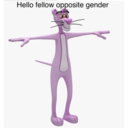 Weird Randoms 1 9