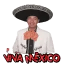 Viva México 2   MOVI. 5