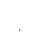 Viva México mov. 14