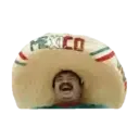 Viva México mov. 24