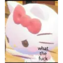 what
the
fuck