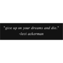 "give up on your dreams and die."
-levi ackerman