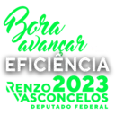 Bora
avançar
EFICIÊNCIA
RENZO 2023
VASCONCELOS
DEPUTADO FEDERAL