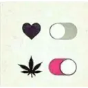 O
O