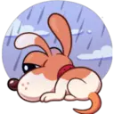 Otis Dog   1 14