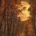 शरद ऋतु में परिदृश्य 1 13