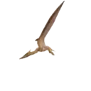 Dinosaurios Mov.1712 12