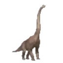 Dinosaurios Mov.1712 18
