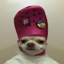 just having fun 5