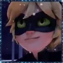 Ladybug - 1   Mov.1712 8