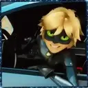 Ladybug - 1   Mov.1712 24