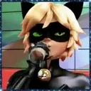 Ladybug - 1   Mov.1712 1
