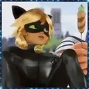 Ladybug - 1   Mov.1712 25
