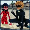 Ladybug - 1   Mov.1712 11