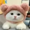 Misturar animais 11 7