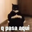 Misturar animais 11 26