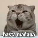 Misturar animais 11 8