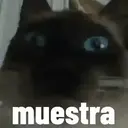 Misturar animais 11 18