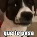 Misturar animais 11 12