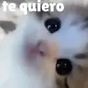 Misturar animais 11 13
