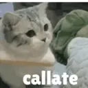 Misturar animais 11 9