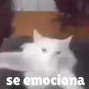 Misturar animais 11 16