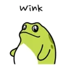 Pequeno sapo 13