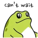 Pequeno sapo 6