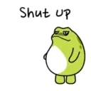 Pequeno sapo 12
