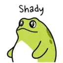 Pequeno sapo 18